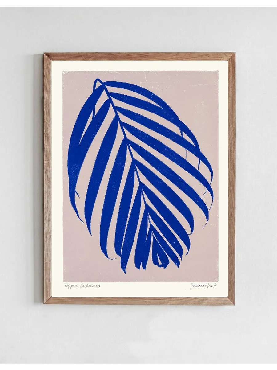Printed Plant - Dypsis