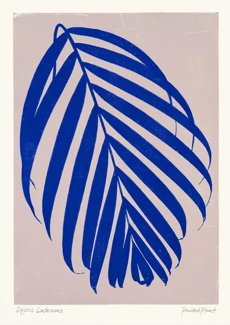 Printed Plant - Dypsis