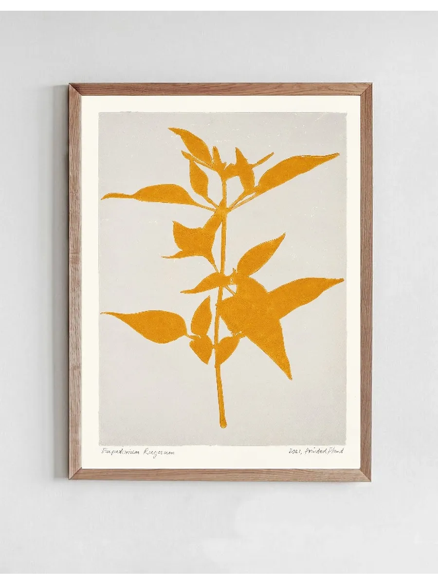 Printed Plant - Eupatorium Rugosum