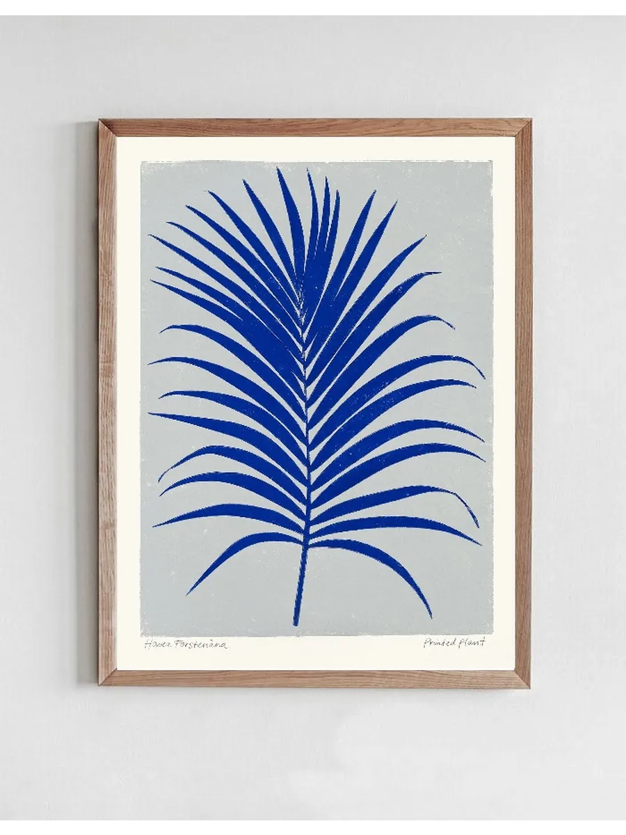 Printed Plant - Howea