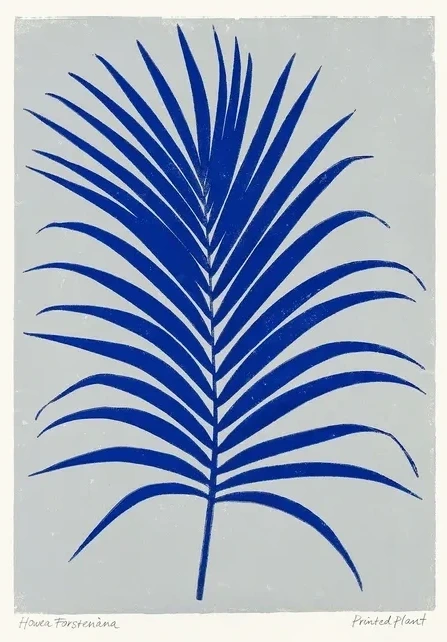 Printed Plant - Howea