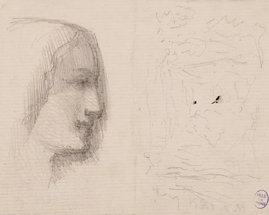 Profil de Femme Droite et Sch Ma de Paysage