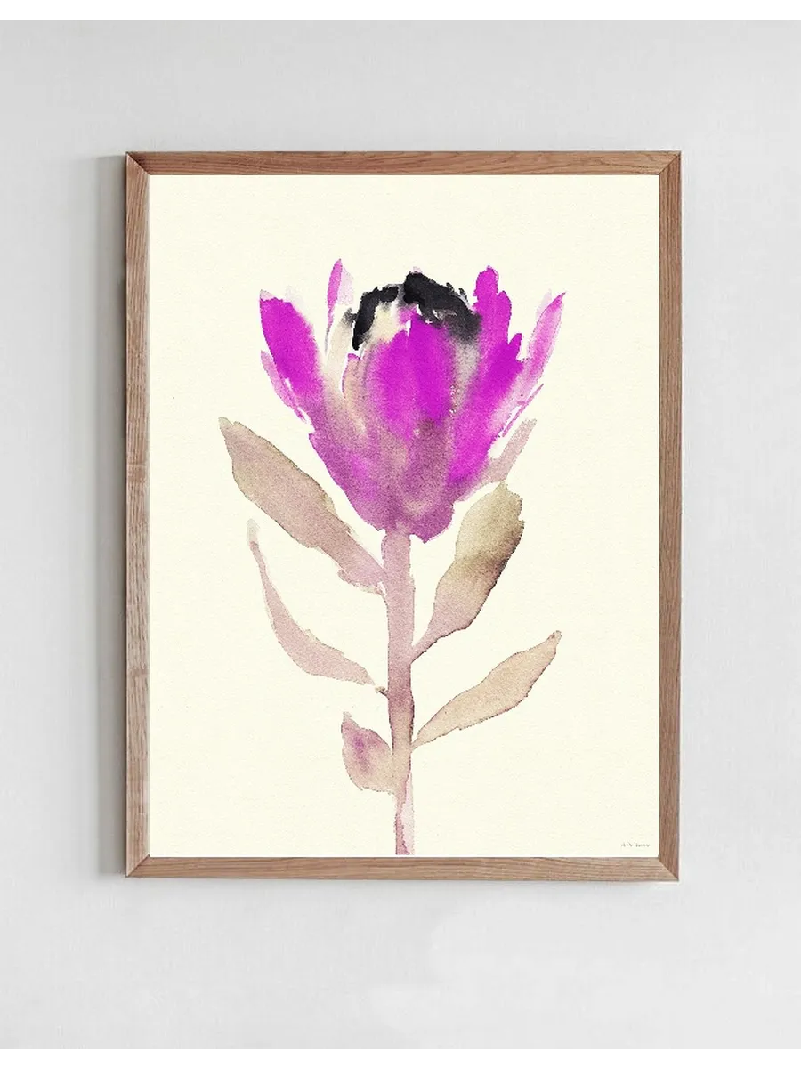 Protea Pink