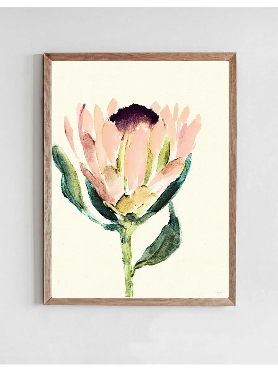 Protea
