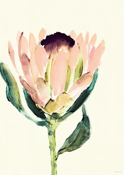 Protea