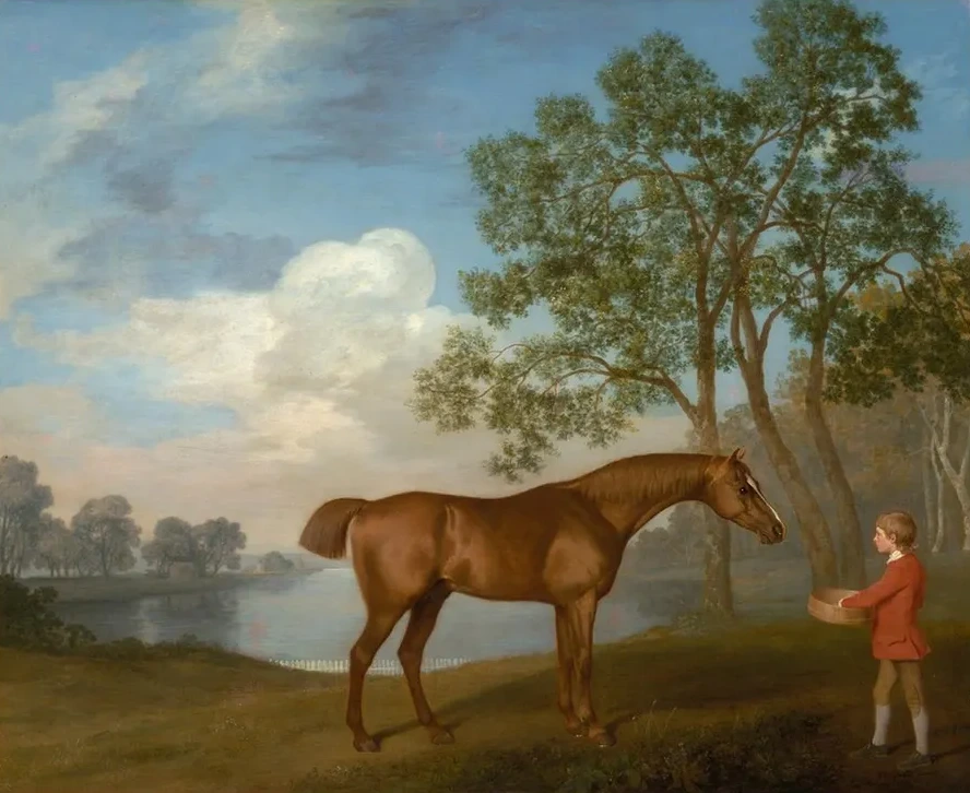 Pumpkin with a Stable - Lad