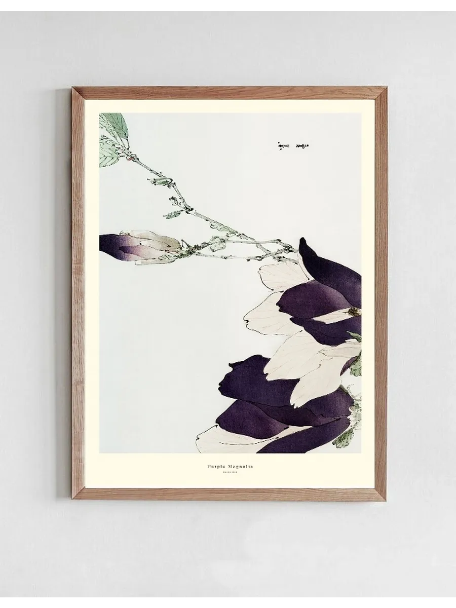 Purple Magnolia