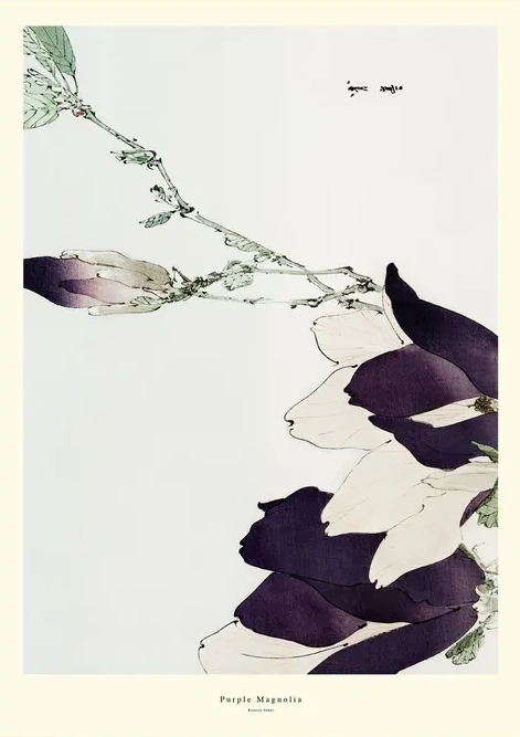 Purple Magnolia