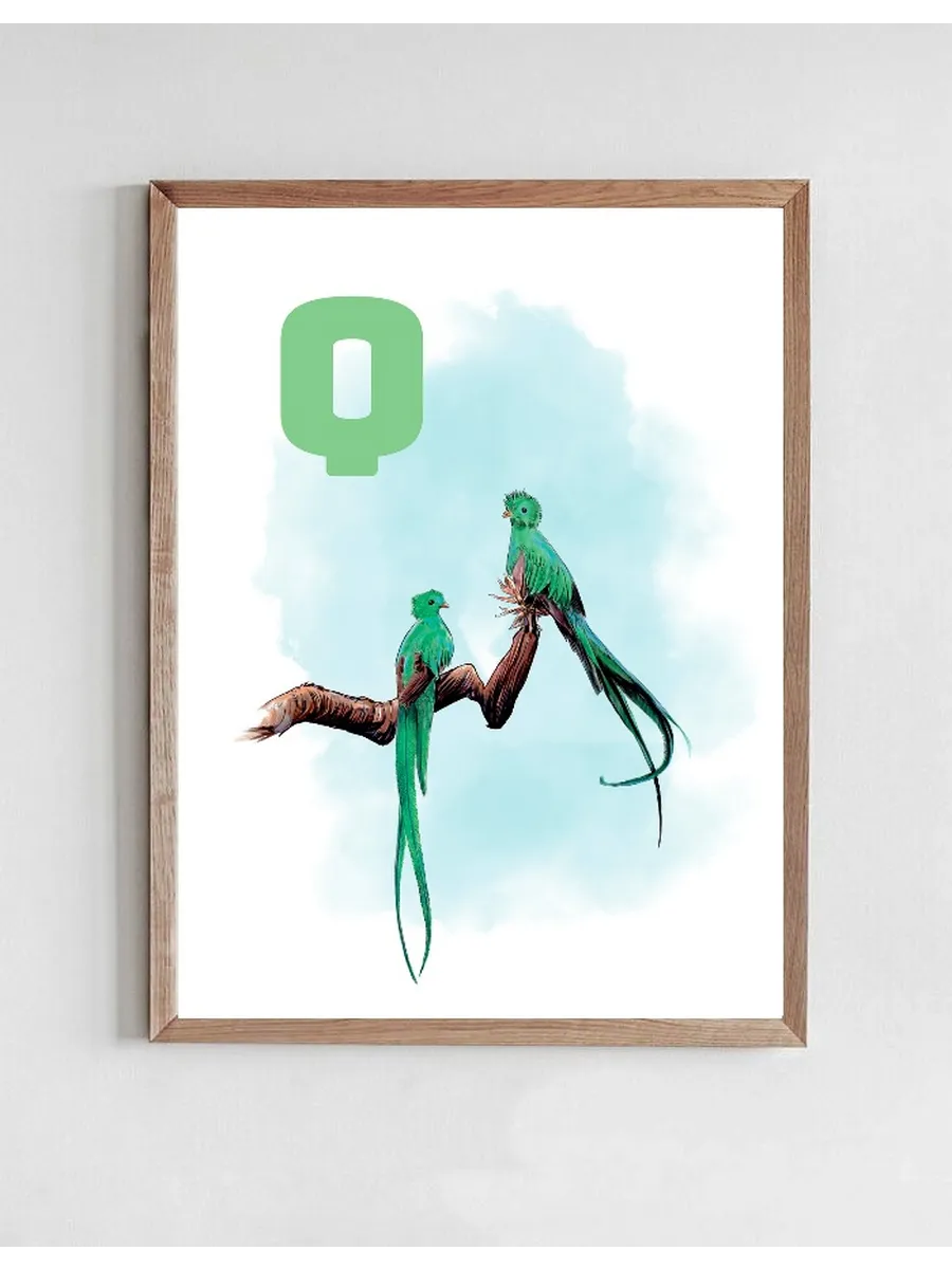 Q Blue Quetzal