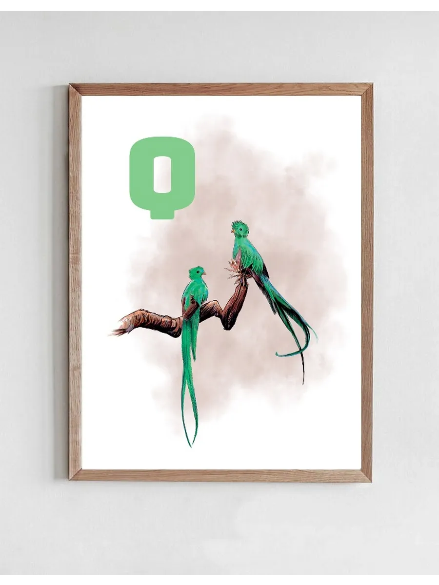 Q Grey Quetzal