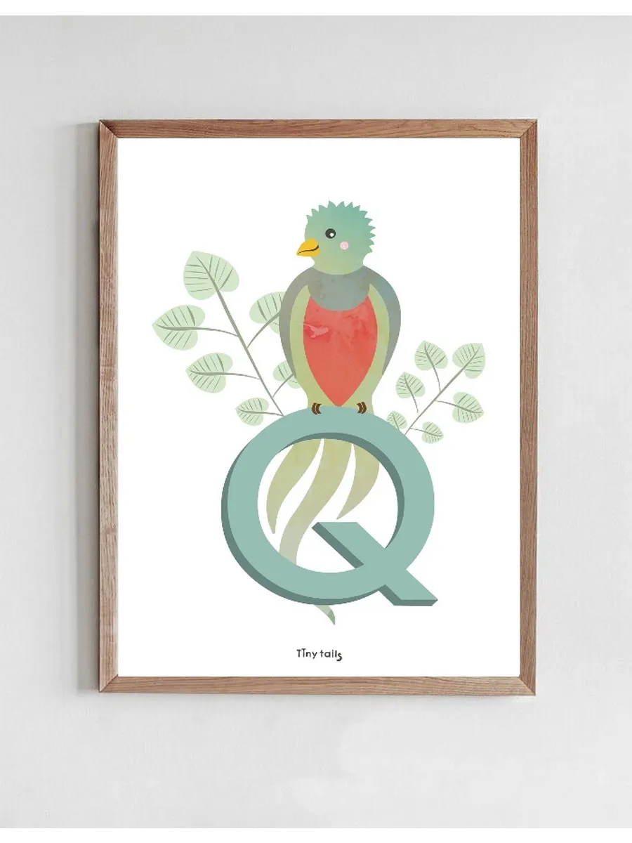 Q for Quetzal