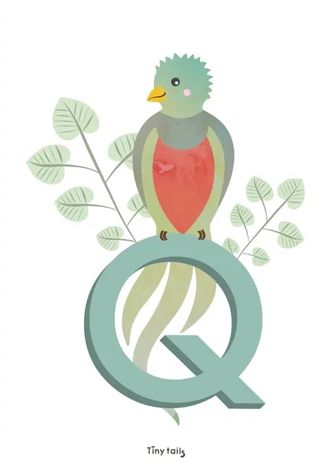 Q for Quetzal