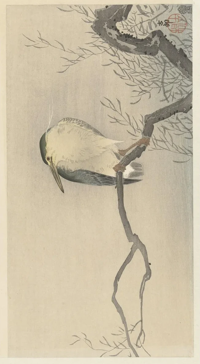Quack on Whimsical Branch