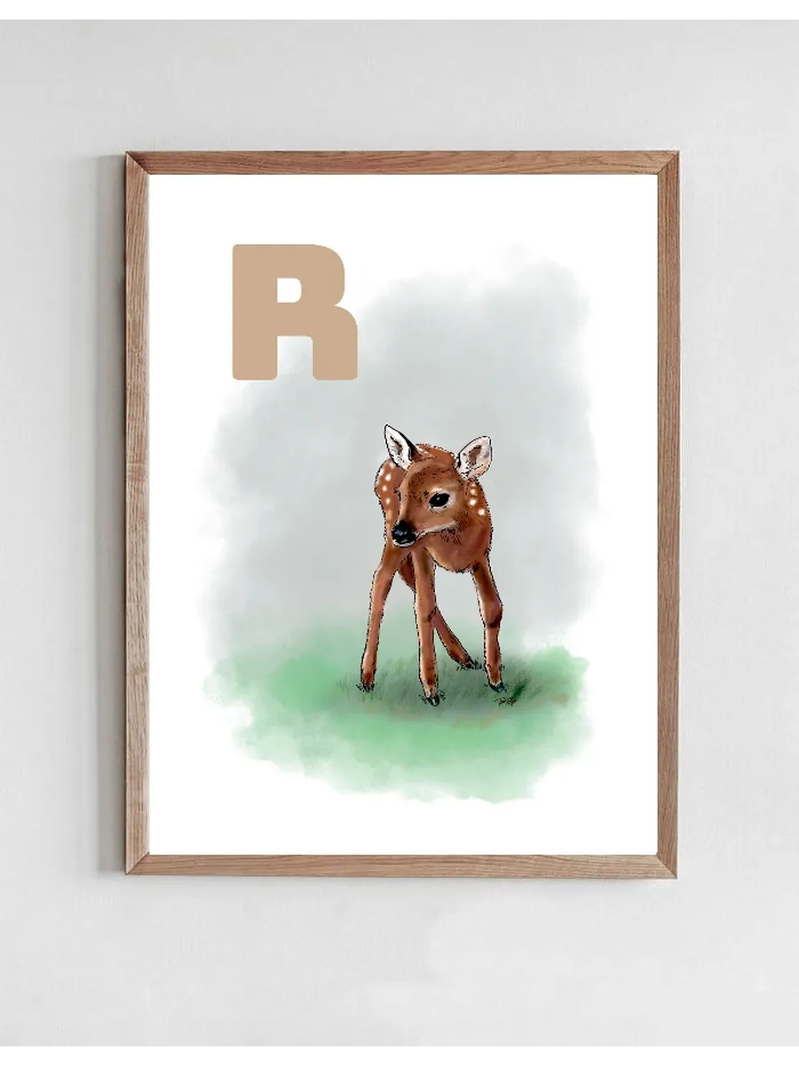 R Grey R dyr