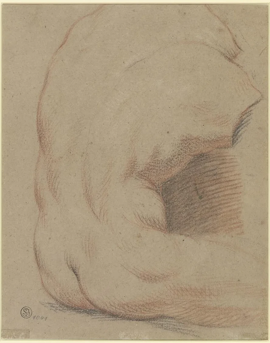R Ckenansicht Eines M Nnlichen Torso (torso Vom Belvedere)