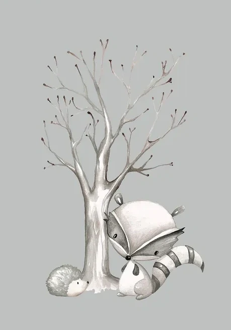 Rabbit Boy