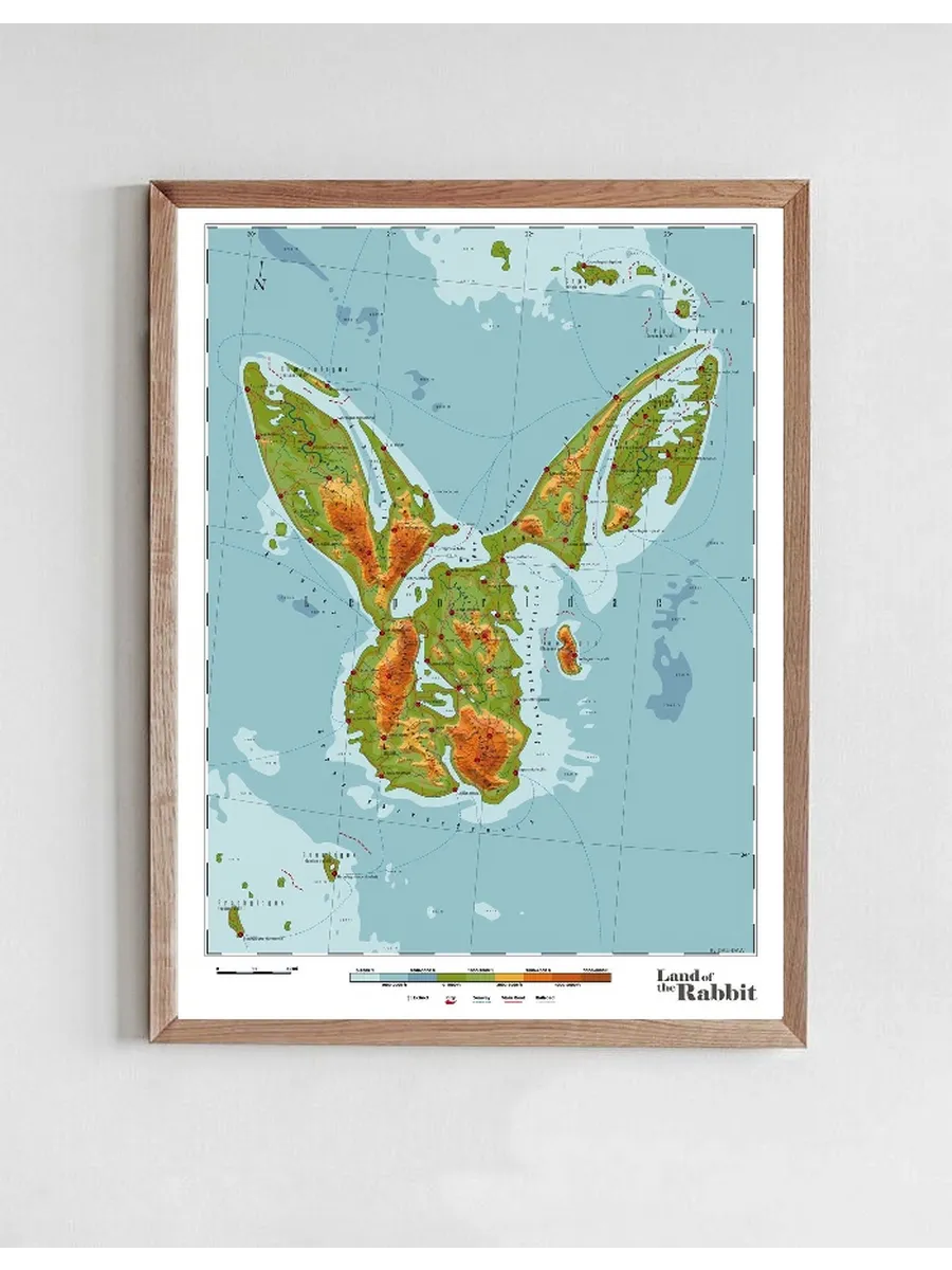 Rabbit