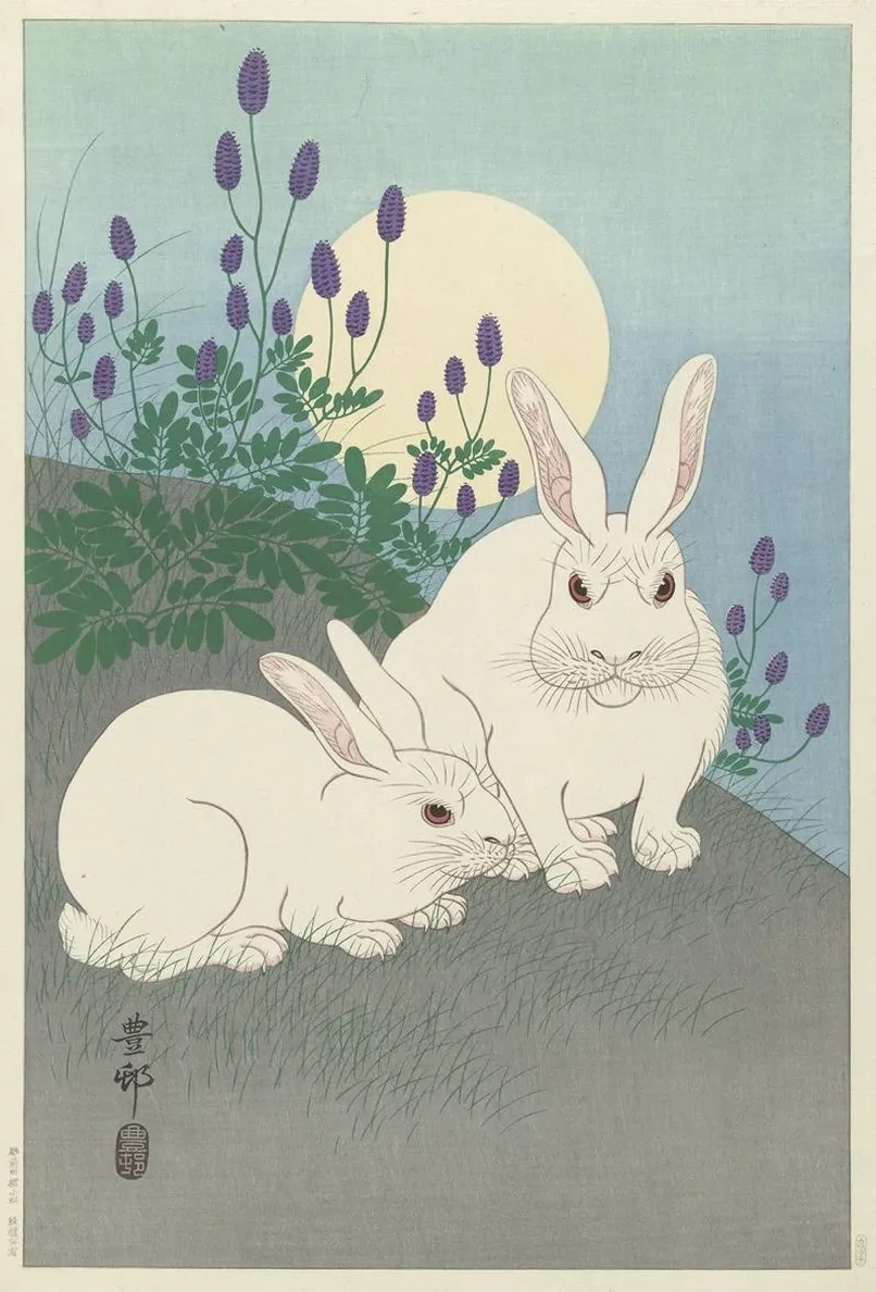 Rabbits at Full Size