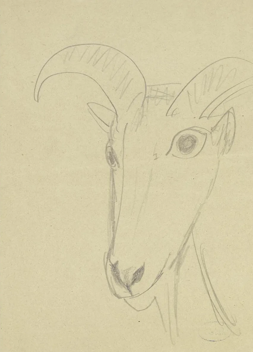 Ram Head