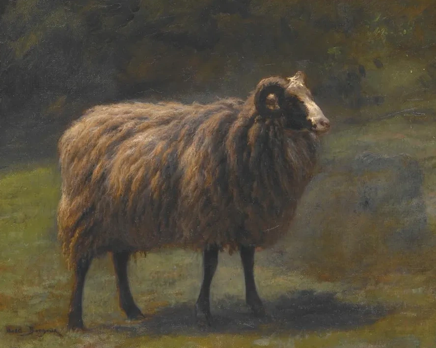 Ram