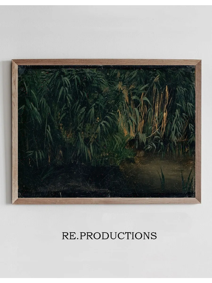 Reed
