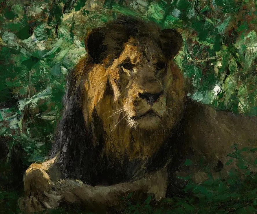 Resting Lion