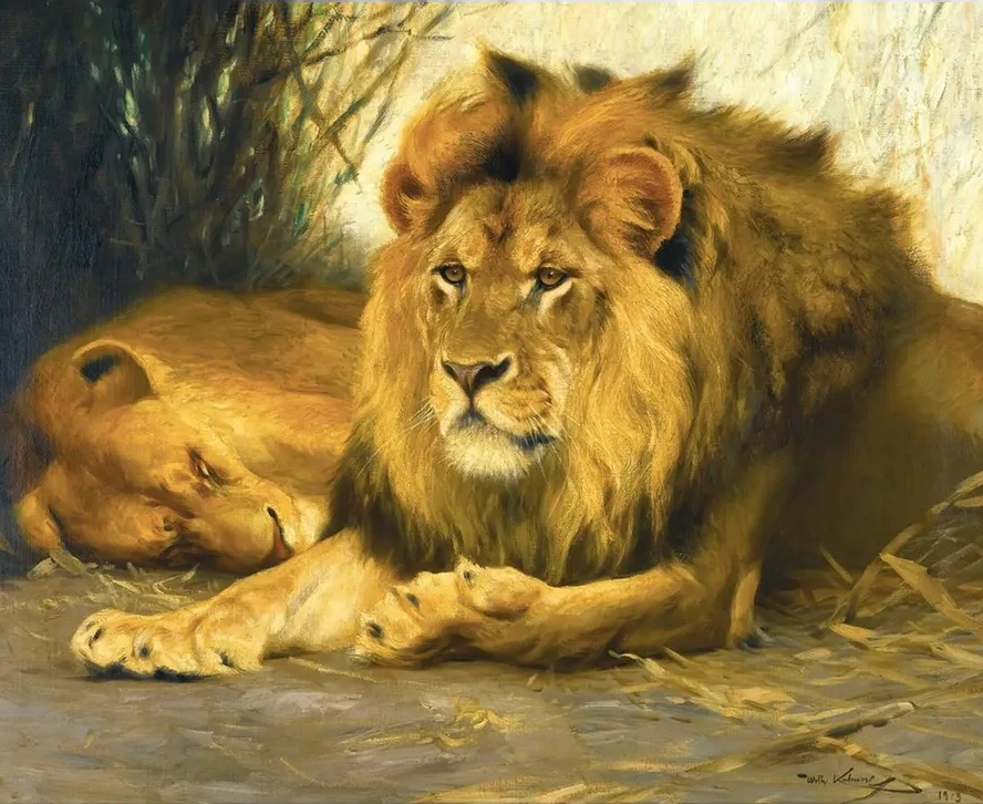 Resting Lions
