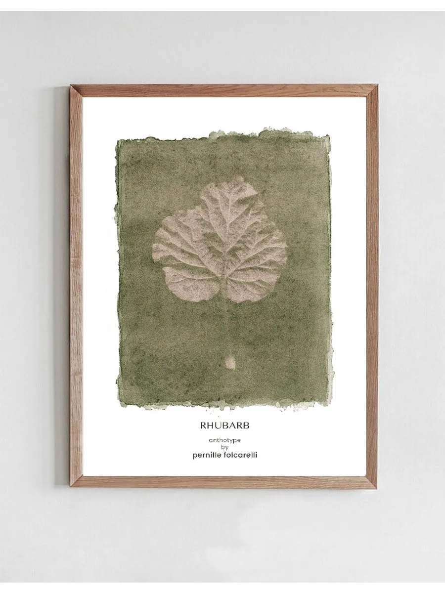 Rhubarb Green