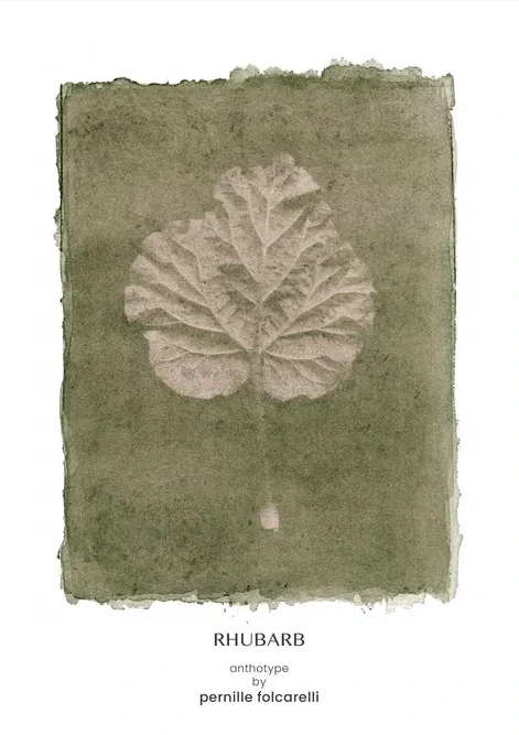 Rhubarb Green