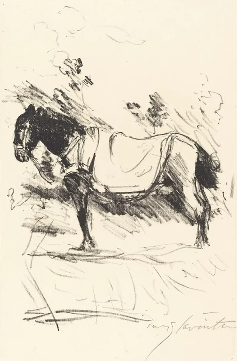Riding - Horse (Reitpferd)