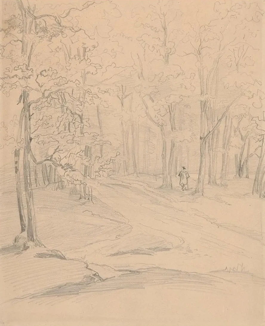 Road in the Woods