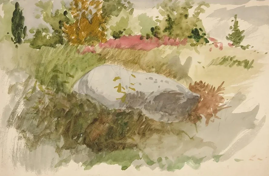Rocks andShrubs