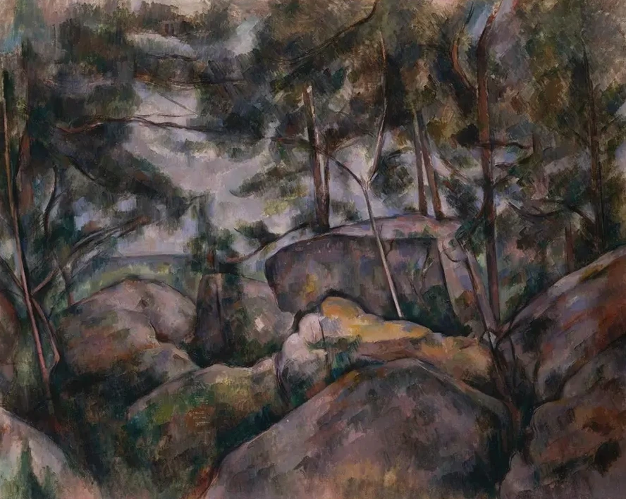 Rocks in the Forest