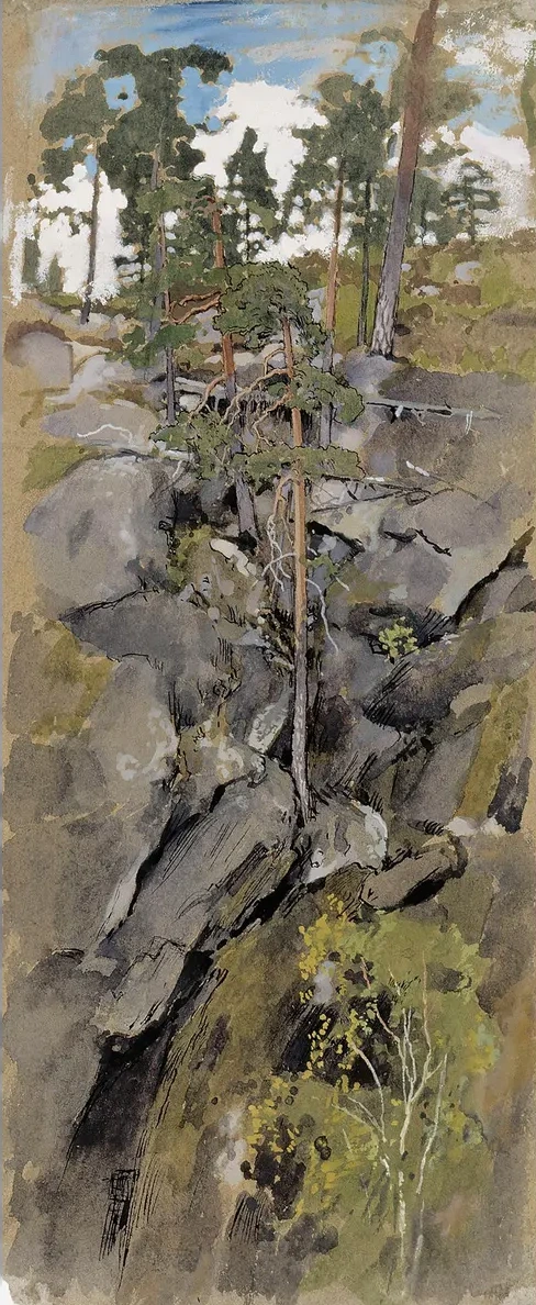 Rocky Forest