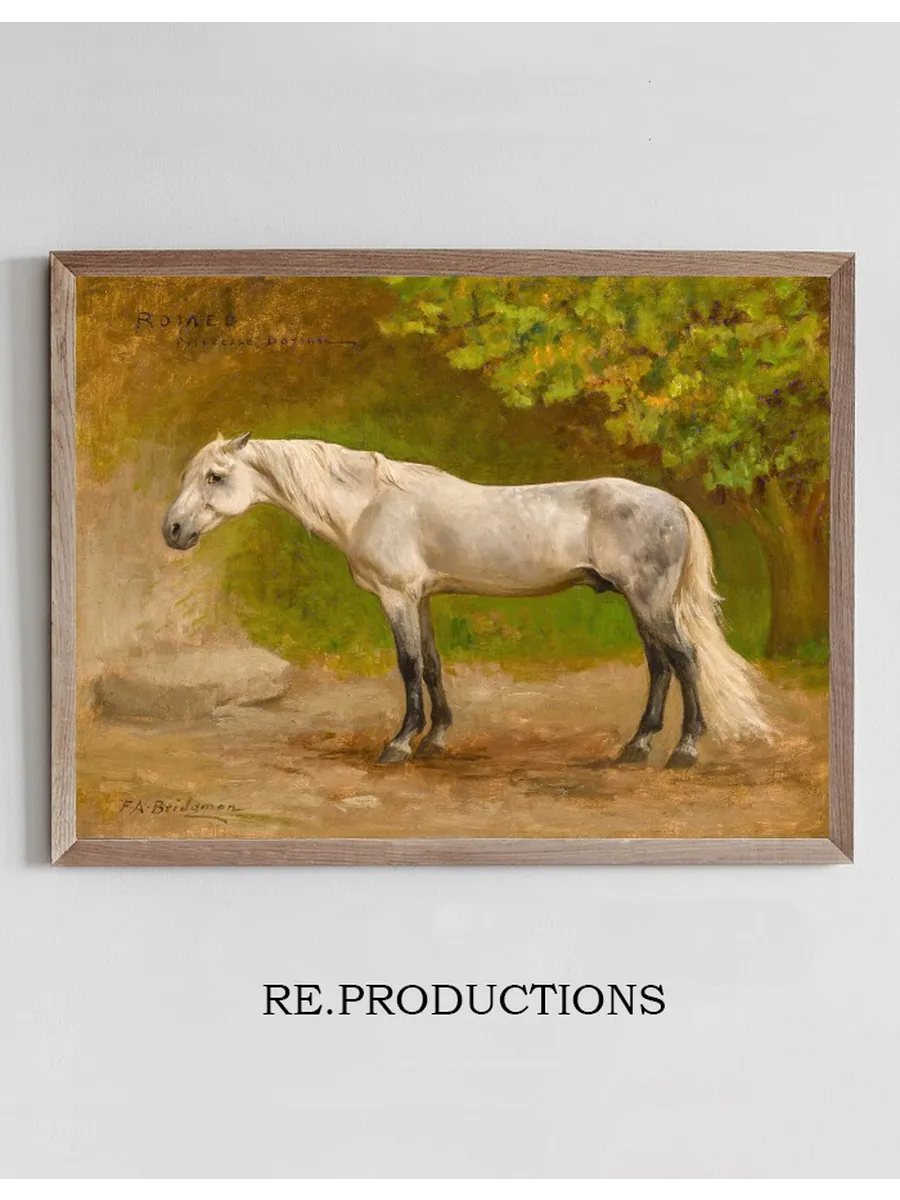 Romeo, a Stallion in a Landscape