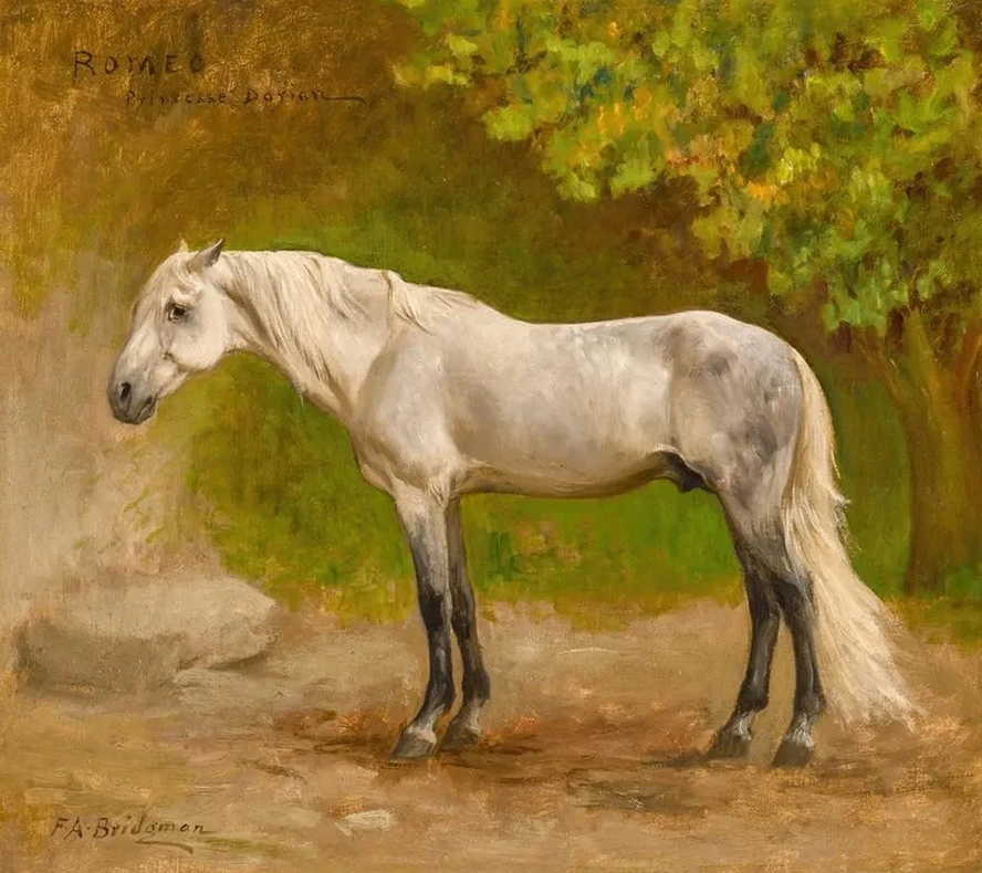 Romeo, a Stallion in a Landscape