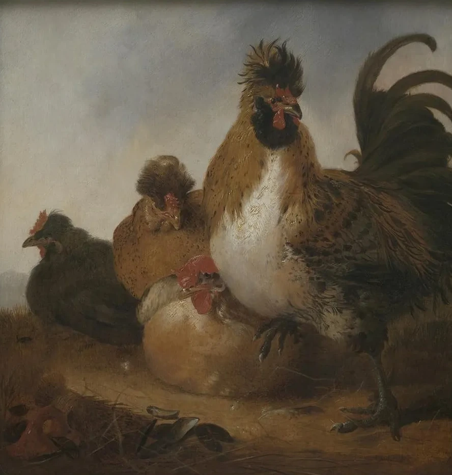 Rooster and Hens Object Type