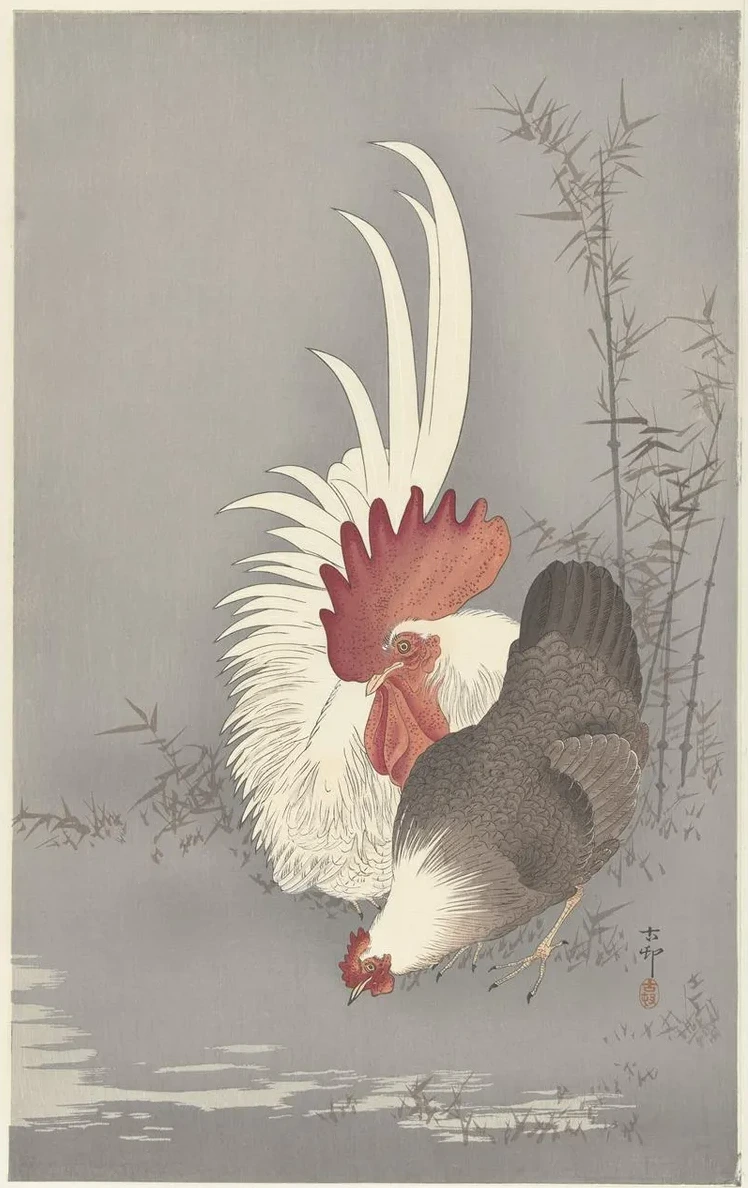 Rooster and Chicken
