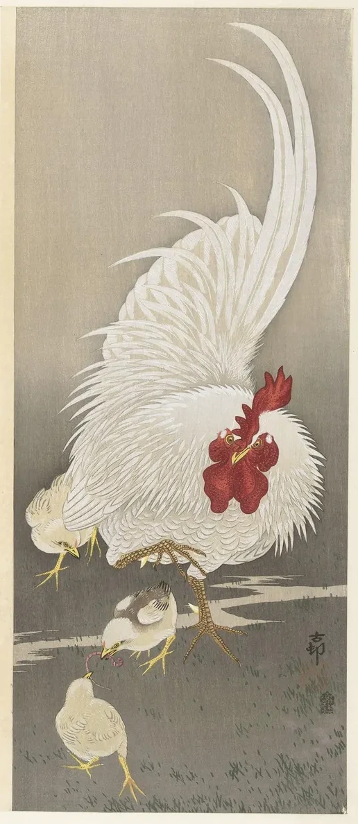 Rooster and Three Chicks