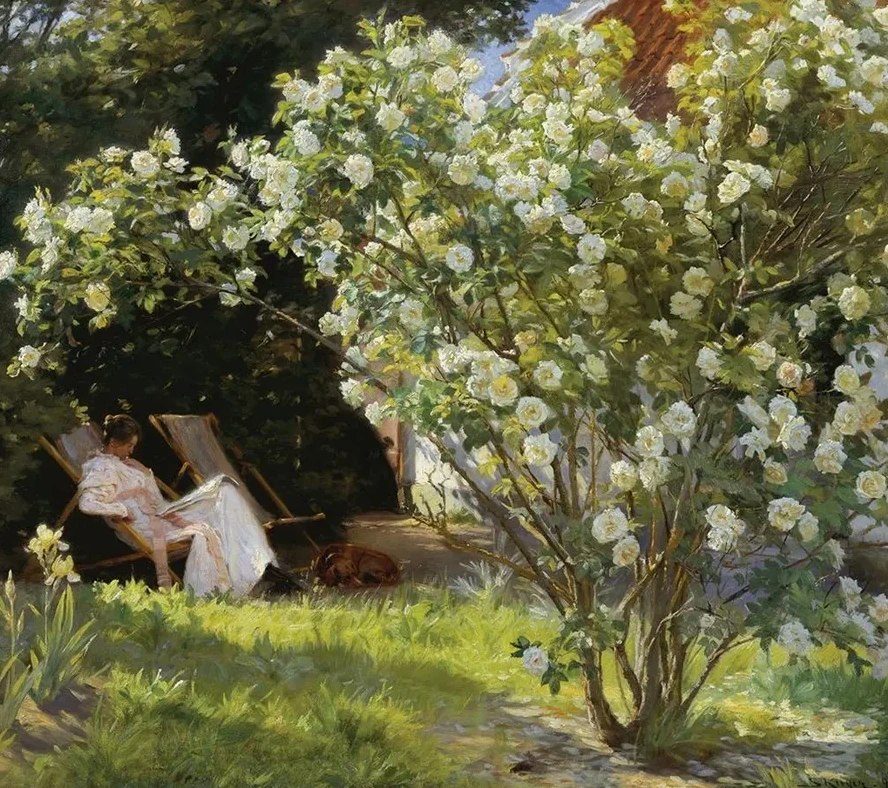 Roses. Marie Kr Yer Seated in the Deckchair in the Garden by Mrs Bendsen's House