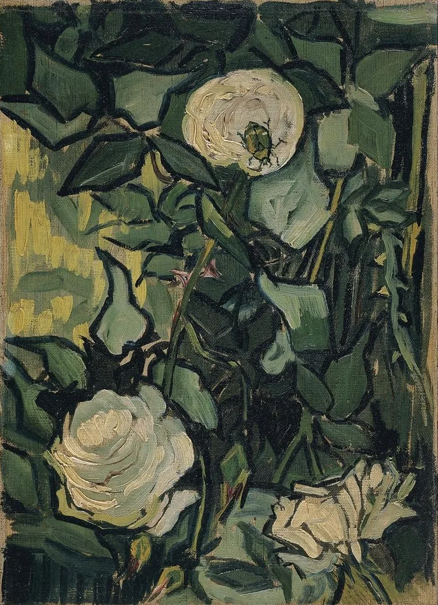 Roses