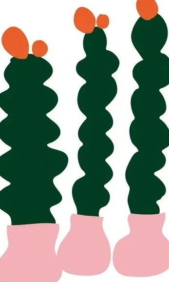 Round Cactus