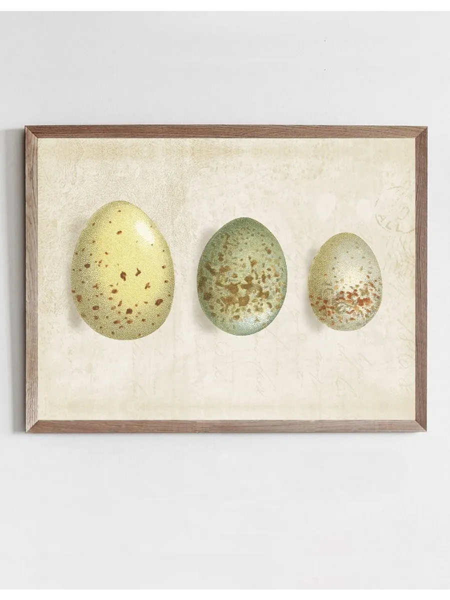 Row of Eggs I