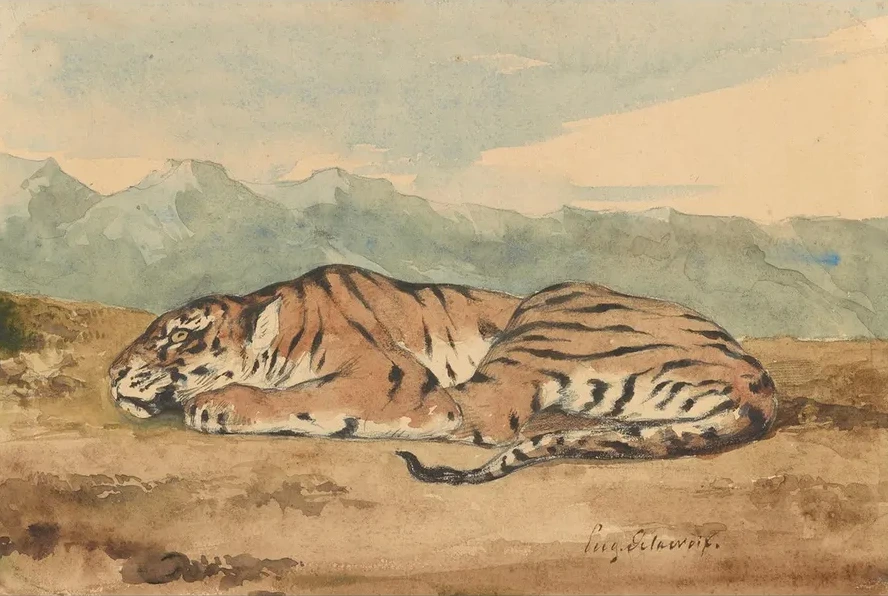 Royal Tiger