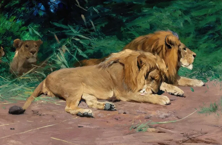 Ruhende L wen (Lions at Rest)