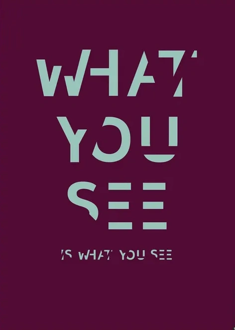 ST - WHAT YOU SEE IS WHAT YOU SEE