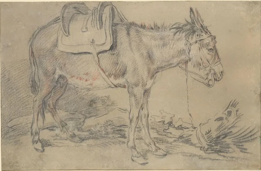 Saddled Donkey