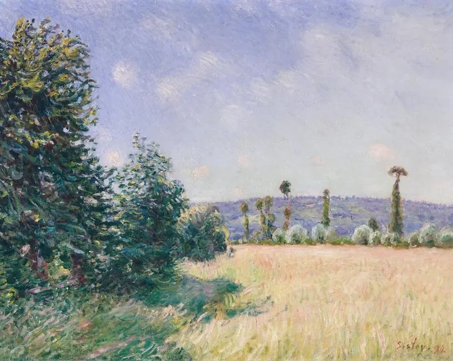 Sahurs Meadows in Morning Sun
