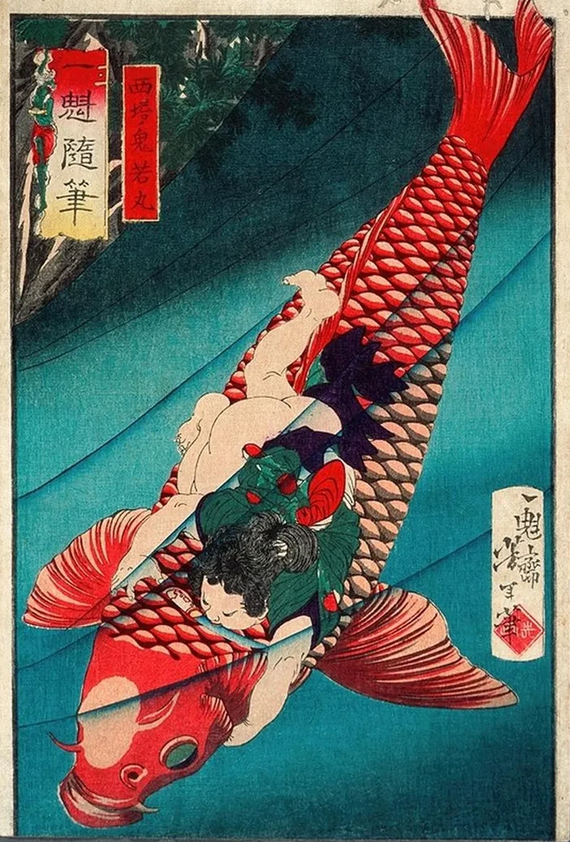 Sait Oniwakamaru on a Carp