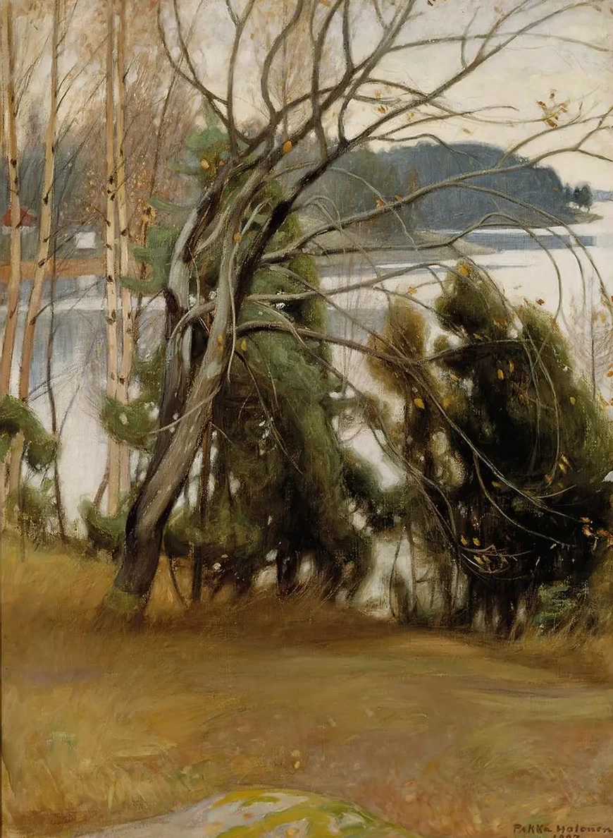 Sallow in Autumn